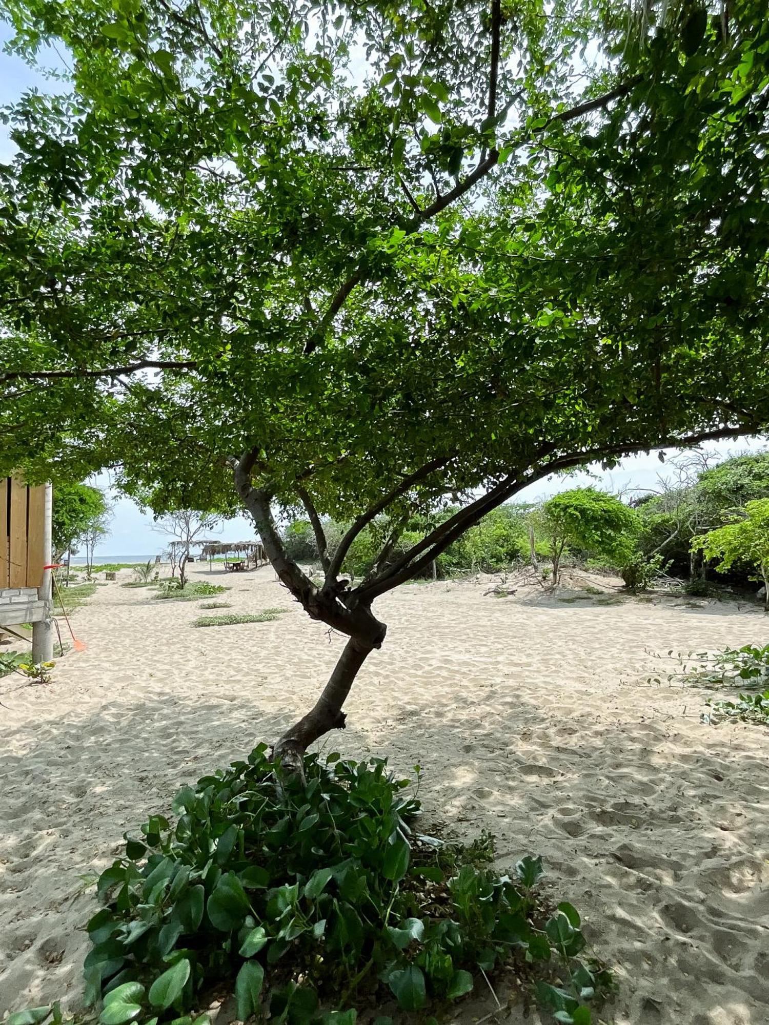Casa Gitana Otel Chamuscadero Dış mekan fotoğraf